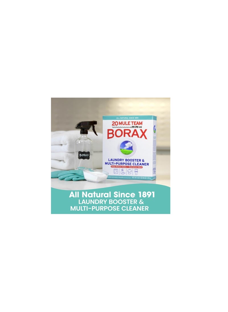 بوراكس عبوة من 4 قطع - 20 ميول تيم بوراکس معزز للغسيل ومنظف متعدد الأغراض - Image 2